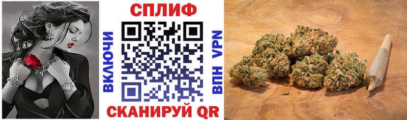 Конопля Bruce Banner  Себеж 